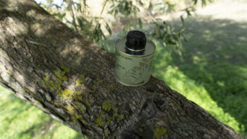 Niku Oil EVO
