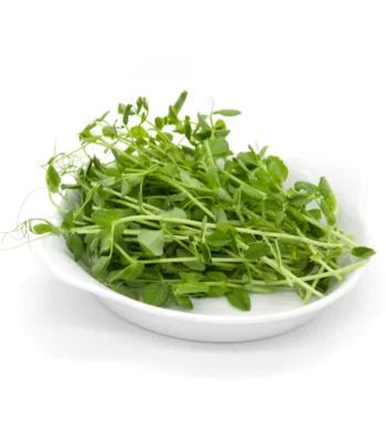 Small Veggie - Pisello Verde Viridios